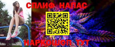 стаф Ставрополь