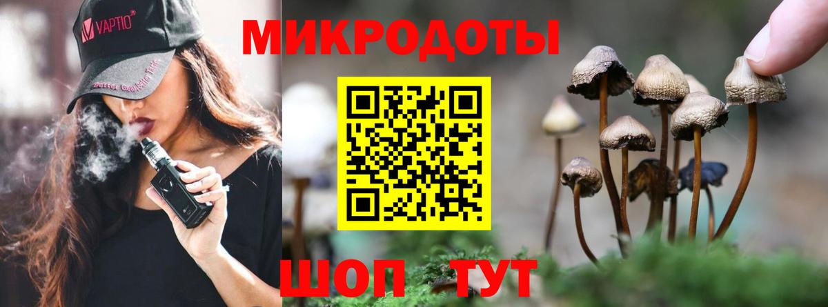 Псилоцибиновые грибы GOLDEN TEACHER Нижний Новгород